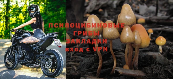 тгк Заводоуковск