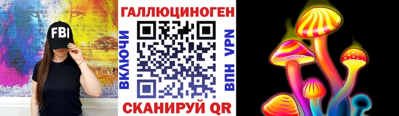 Псилоцибиновые грибы Psilocybe  Кумертау 